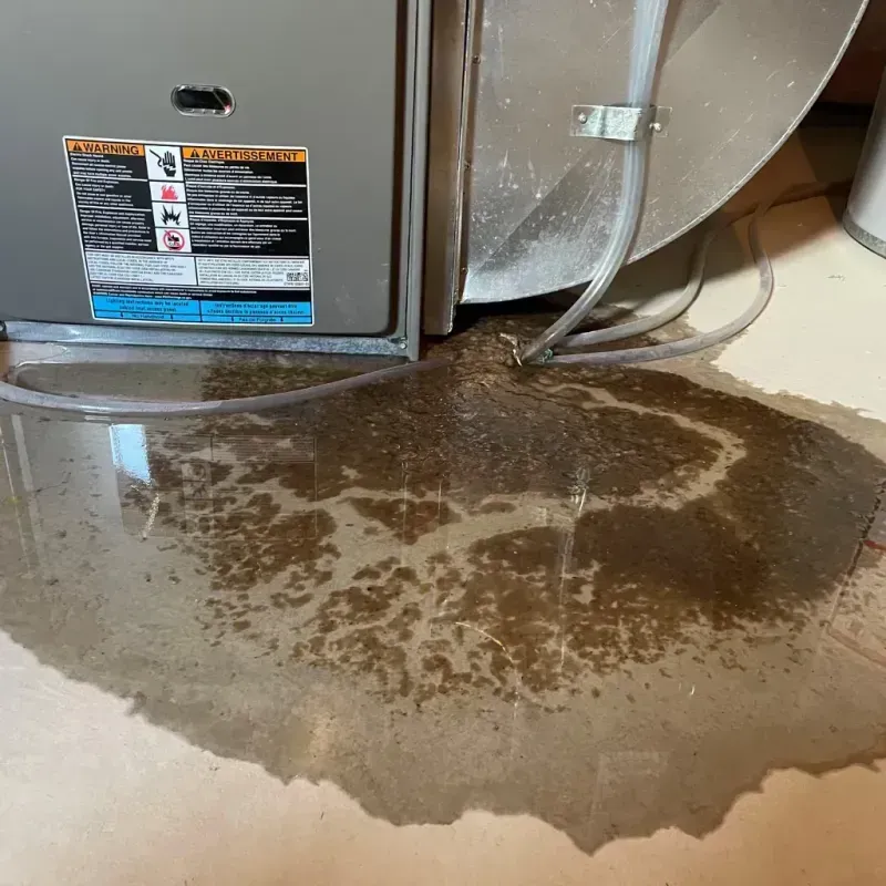 Appliance Leak Cleanup in Cecil County, MD